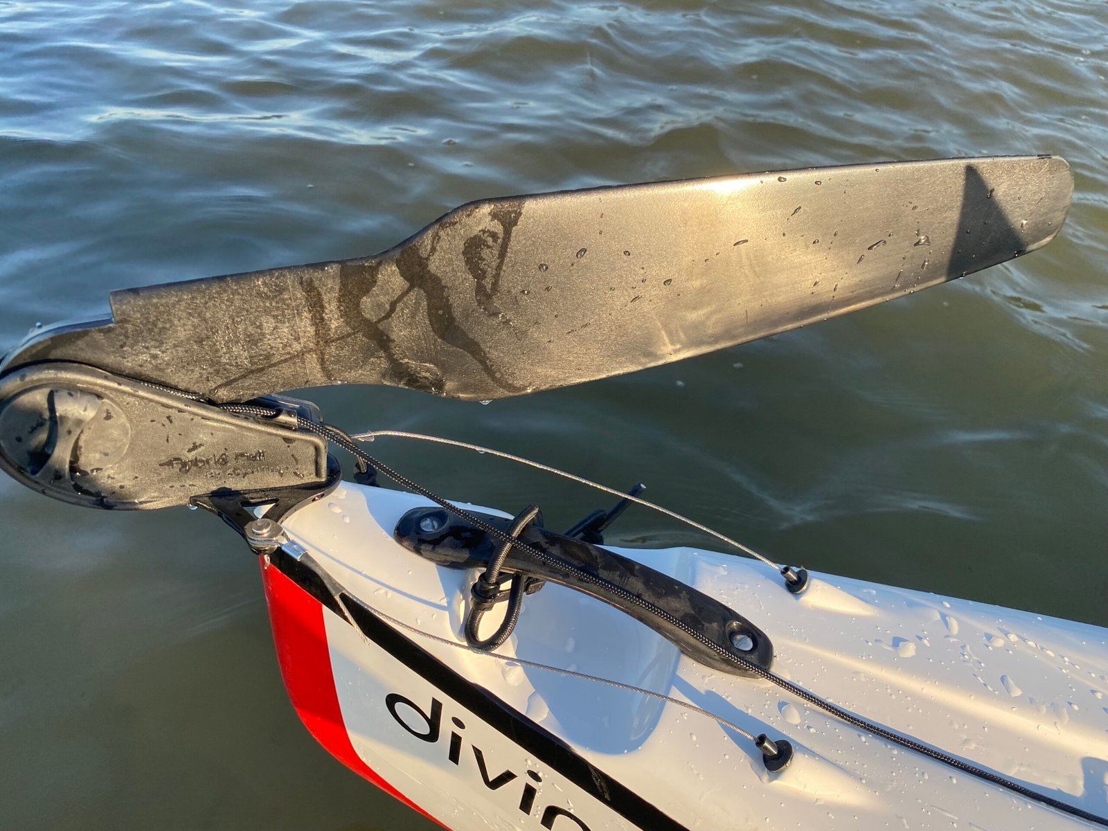 Divine Paddle Family — photo 3